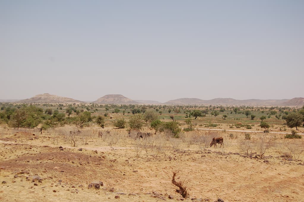 Niger travel destination
